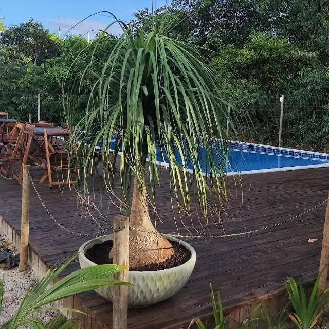 Apto Novo, Aconchegante E Espacoso Porto Seguro Apartment